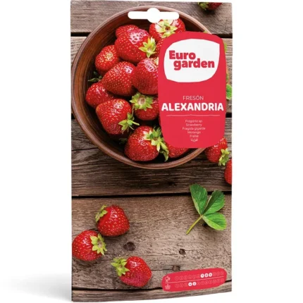 strawberry-freson-alexandria-1