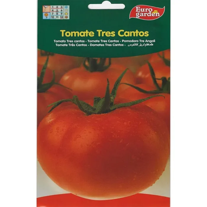 Tomato Tres Cantos