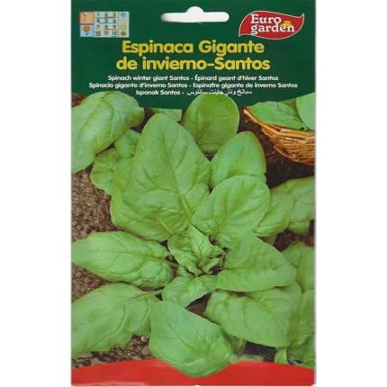 Viking Spinach