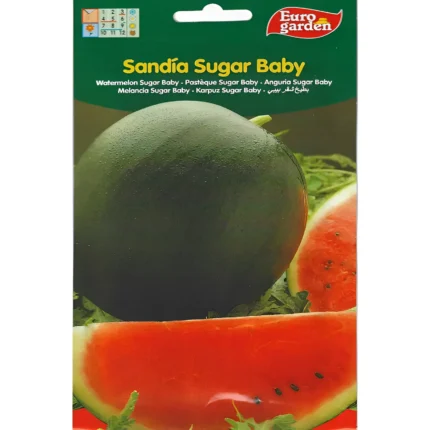 Watermelon Sugar Baby