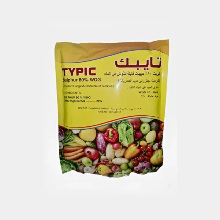 تايبك
