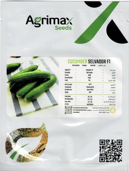 Agrima Salvador FI Cucumber Seeds – High-Yield Hybrid Variety