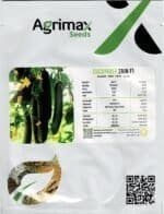 Agrima Zain FI Cucumber Seeds