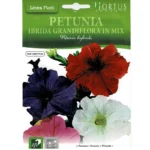 Petunia Ibrida Grandiflora In Mix