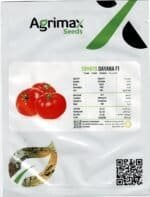 Agrimax Tomato Dayana F1 Seeds