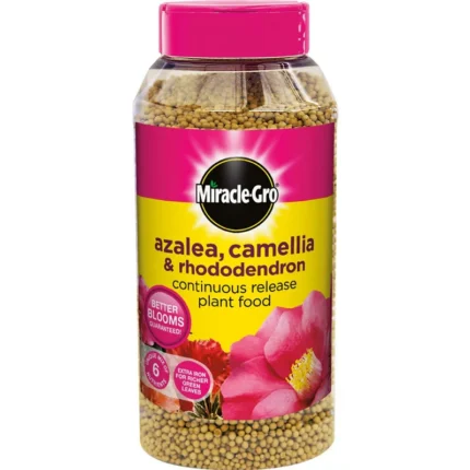 acid loving plant fertilizer uae – miracle gro for azalea & camellia