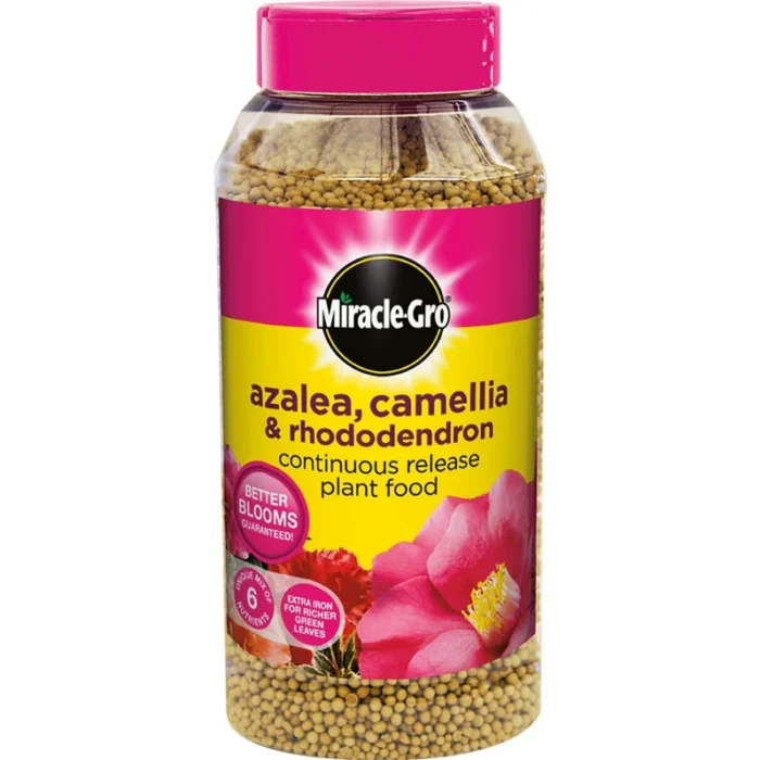 acid loving plant fertilizer uae – miracle gro for azalea & camellia