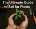 Soil for Plants