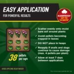 Doff Power Up Slug & Snail Killer - Image 3