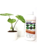 changong ec – broad spectrum insecticide (lambda cyhalothrin 5%)