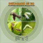 dekagard 25 ec – emulsifiable concentrate insecticide